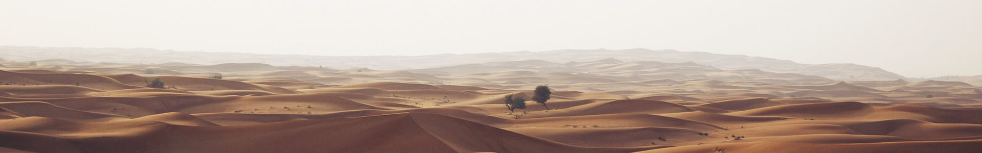ĴʳƷ޹˾
